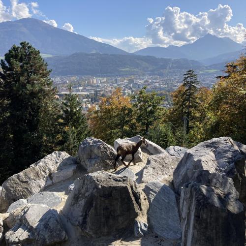 Ausflug nach Innsbruck