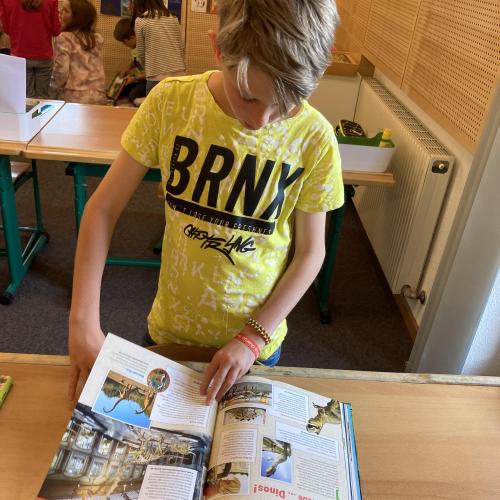 Bücherausstellung Lesewelten
