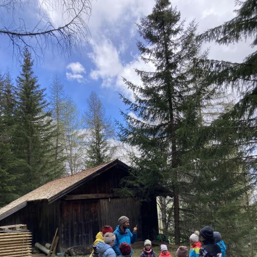 Natopia - Bergwald