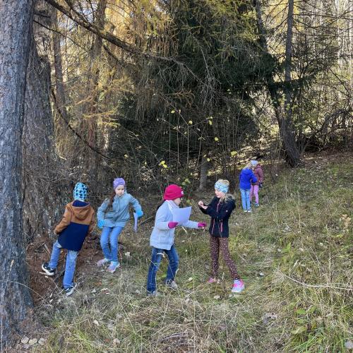 Walddetektive-3