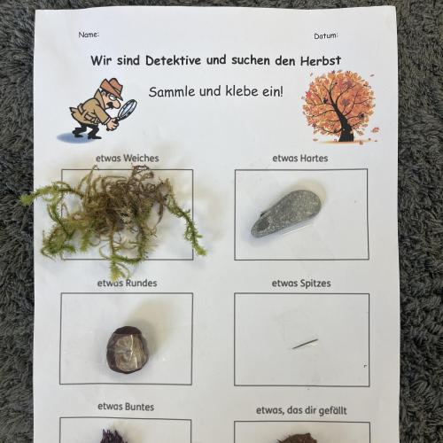 Walddetektive-7