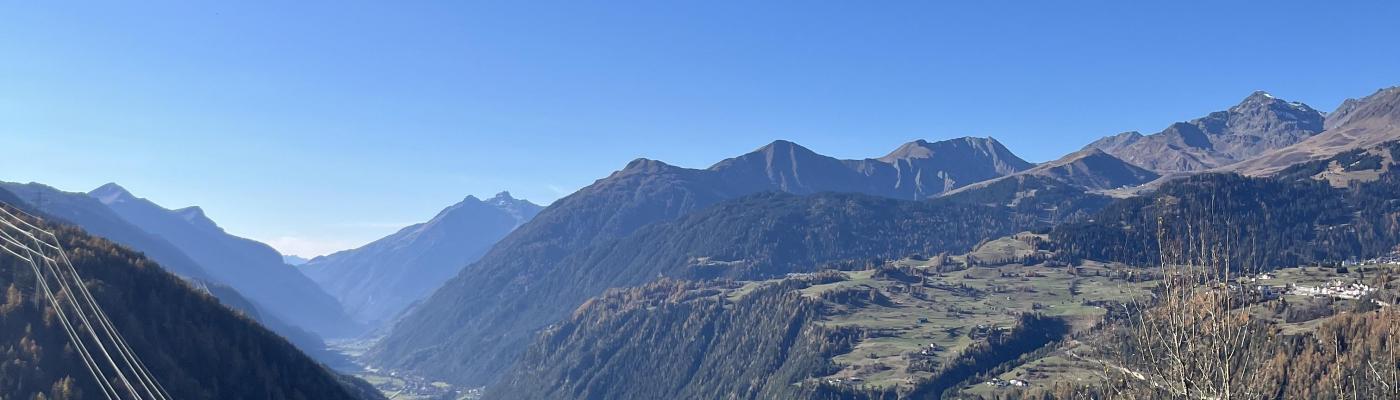 Walddetektive-6