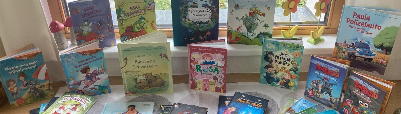 © Eva Wachter | Bildquelle: Eva Wachter Schulbibliothek