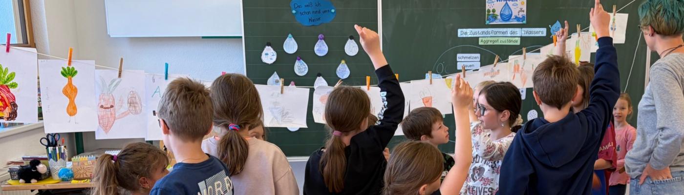 Vom Feld in die Küche