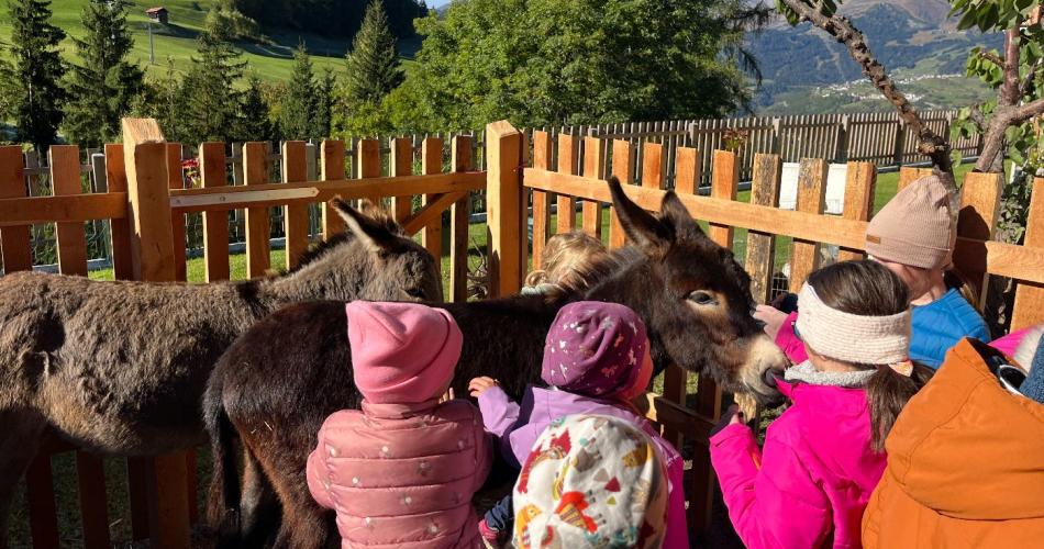 Welttierschutztag
